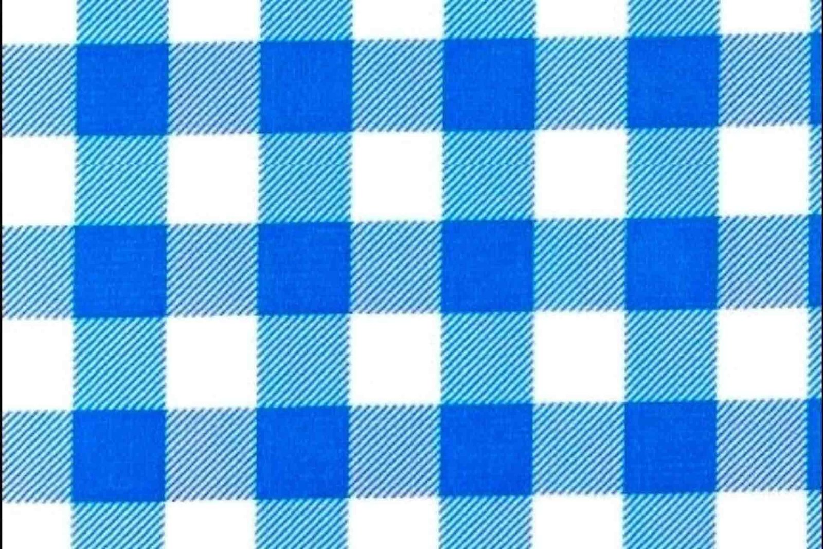 gingham fabric by the yard